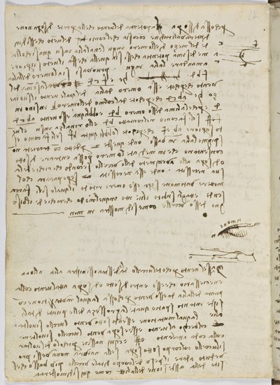 Vogelvluchtcode, c. 1505-06, blad 9 verso door Leonardo da Vinci